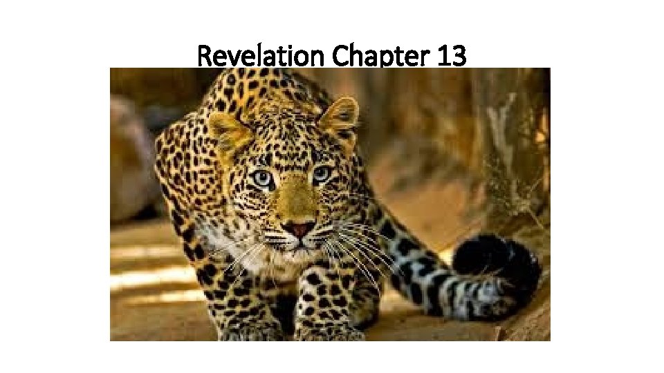 Revelation Chapter 13 