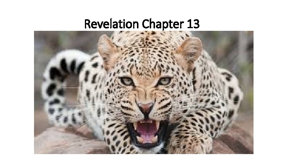 Revelation Chapter 13 