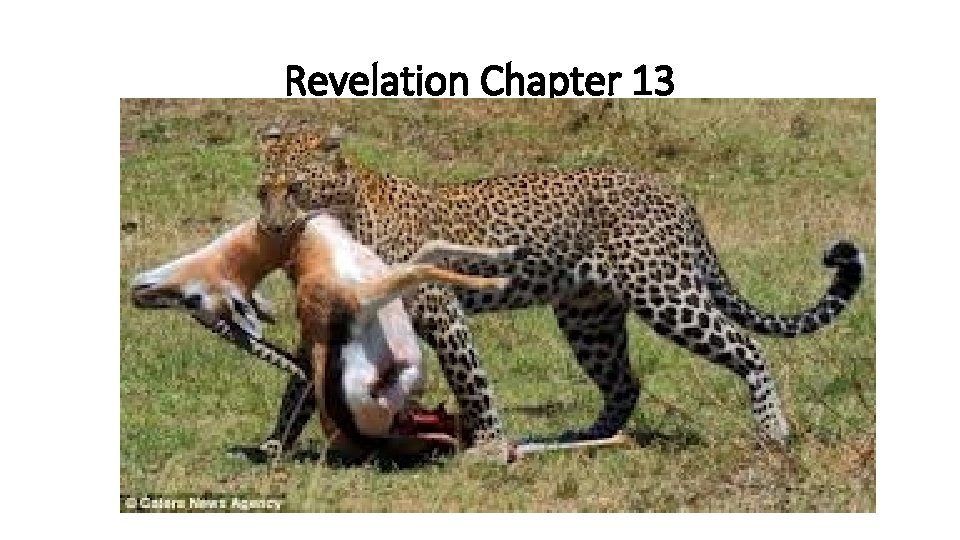 Revelation Chapter 13 