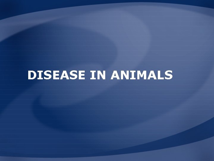 DISEASE IN ANIMALS 