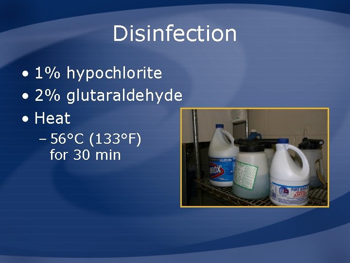 Disinfection • 1% hypochlorite • 2% glutaraldehyde • Heat – 56°C (133°F) for 30