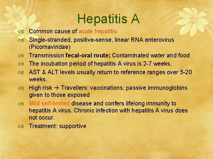 Hepatitis A Common cause of acute hepatitis Single-stranded, positive-sense, linear RNA enterovirus (Picornaviridae) Transmission