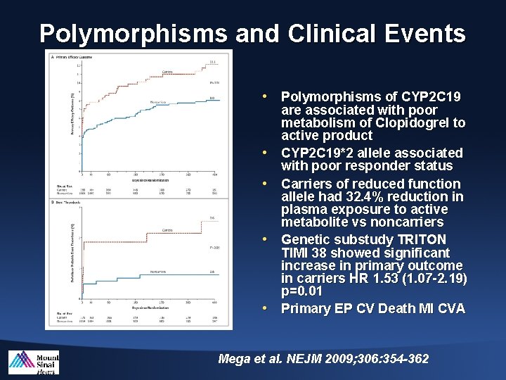 Polymorphisms and Clinical Events • Polymorphisms of CYP 2 C 19 • • are