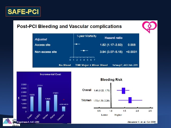 SAFE-PCI 