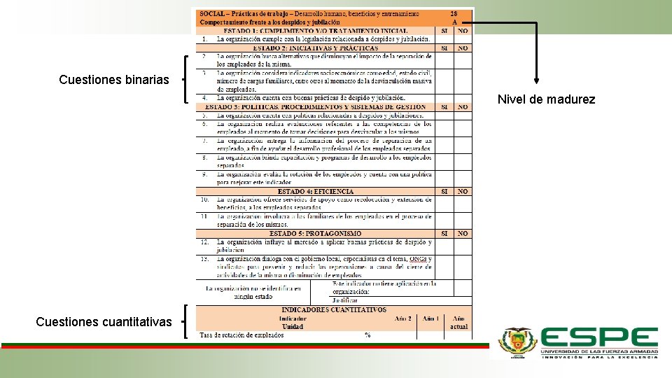 Cuestiones binarias Nivel de madurez Cuestiones cuantitativas 