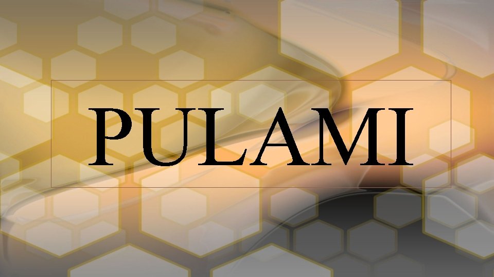 PULAMI 