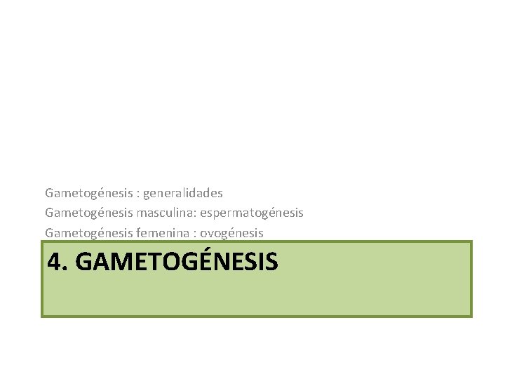 Gametogénesis : generalidades Gametogénesis masculina: espermatogénesis Gametogénesis femenina : ovogénesis 4. GAMETOGÉNESIS 