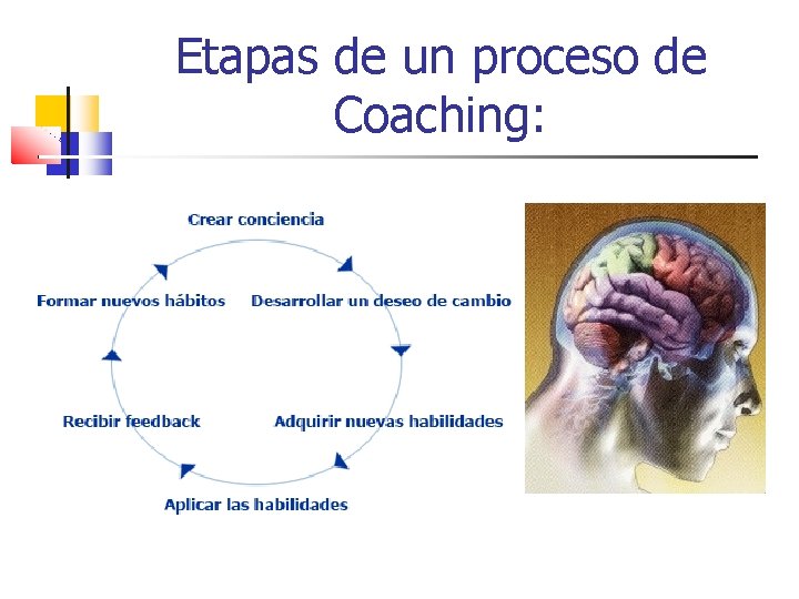 Etapas de un proceso de Coaching: 