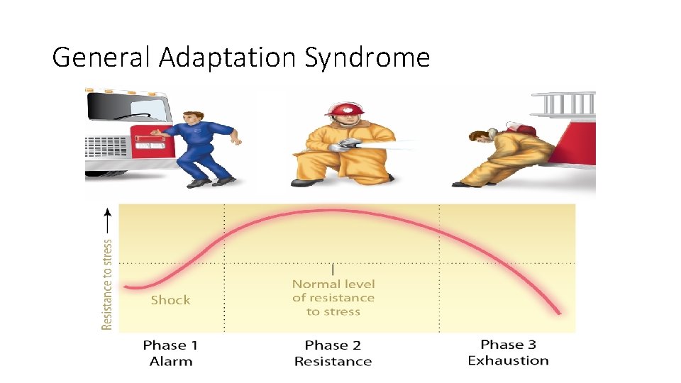 General Adaptation Syndrome 