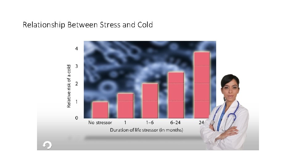 Relationship Between Stress and Cold 