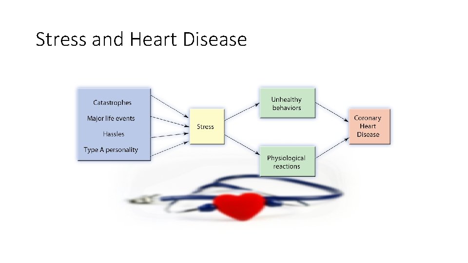 Stress and Heart Disease 