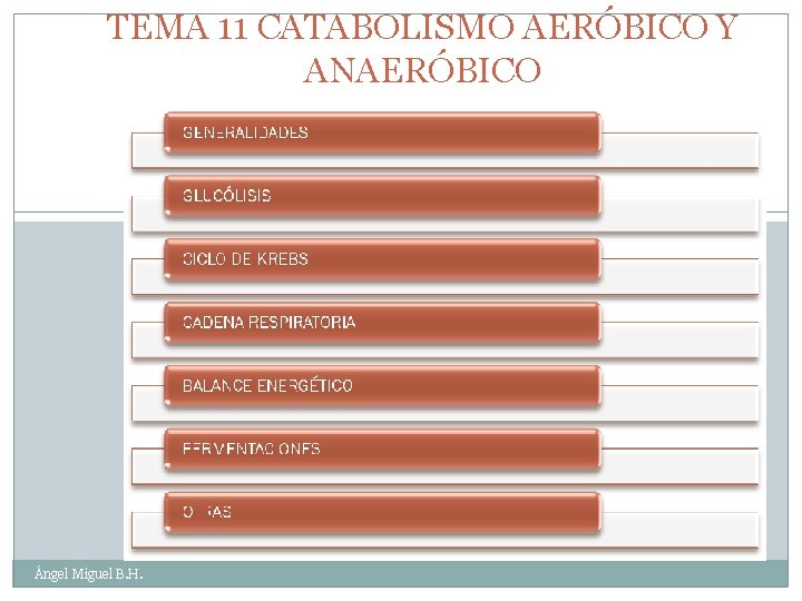 TEMA 11 CATABOLISMO AERÓBICO Y ANAERÓBICO 1 Ángel Miguel B. H. 