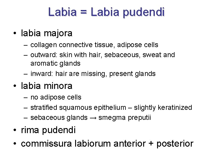 Labia = Labia pudendi • labia majora – collagen connective tissue, adipose cells –