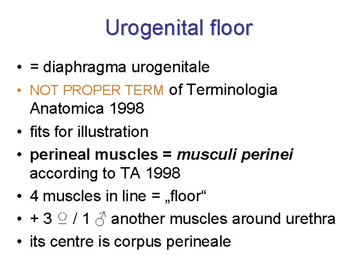 Urogenital floor • = diaphragma urogenitale • NOT PROPER TERM of Terminologia Anatomica 1998