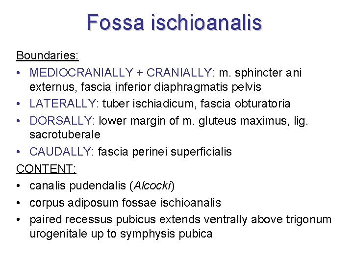 Fossa ischioanalis Boundaries: • MEDIOCRANIALLY + CRANIALLY: m. sphincter ani externus, fascia inferior diaphragmatis