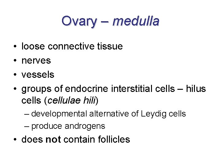 Ovary – medulla • • loose connective tissue nerves vessels groups of endocrine interstitial