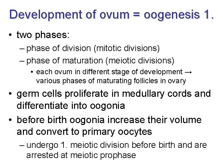 Development of ovum = oogenesis 1. • two phases: – phase of division (mitotic