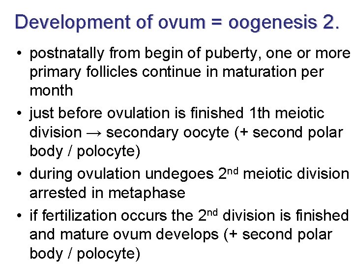 Development of ovum = oogenesis 2. • postnatally from begin of puberty, one or