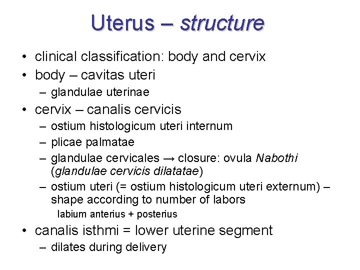 Uterus – structure • clinical classification: body and cervix • body – cavitas uteri