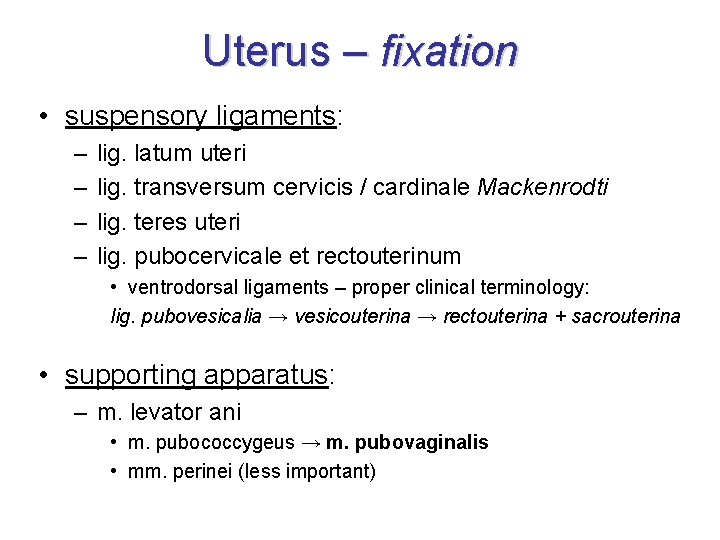 Uterus – fixation • suspensory ligaments: – – lig. latum uteri lig. transversum cervicis