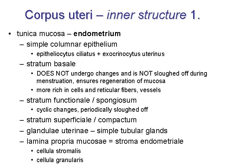 Corpus uteri – inner structure 1. • tunica mucosa – endometrium – simple columnar