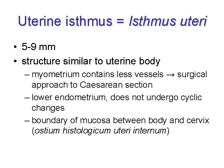 Uterine isthmus = Isthmus uteri • 5 -9 mm • structure similar to uterine