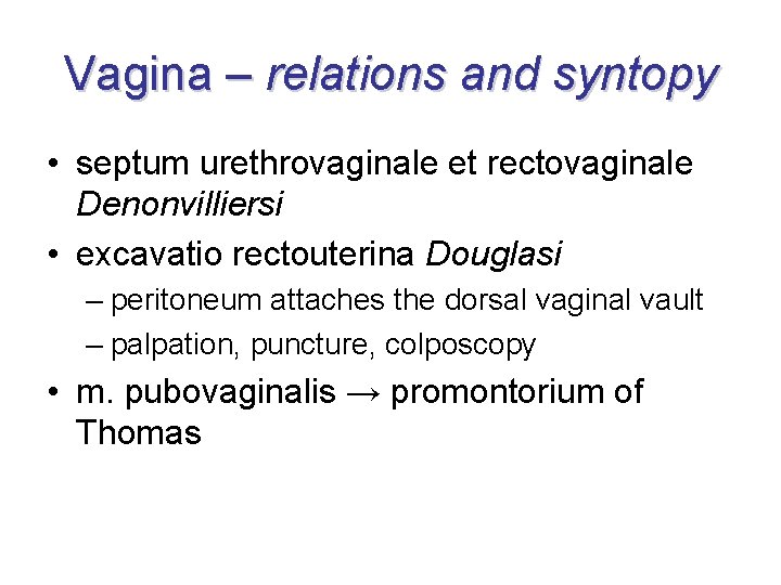 Vagina – relations and syntopy • septum urethrovaginale et rectovaginale Denonvilliersi • excavatio rectouterina