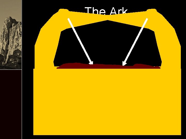 The Ark 