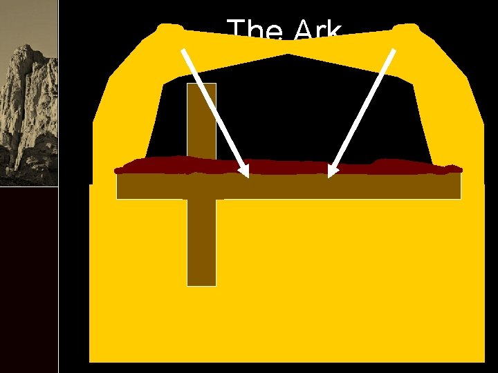 The Ark 