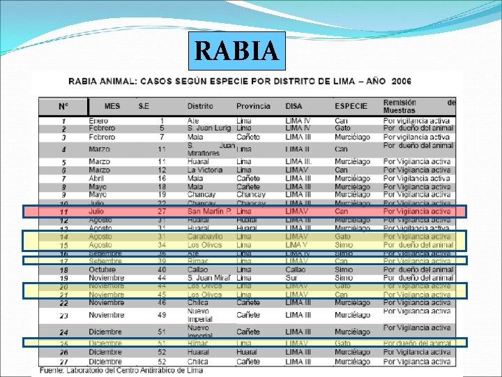 RABIA 