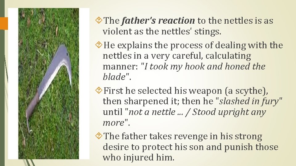 The father's reaction to the nettles is as violent as the nettles' stings.