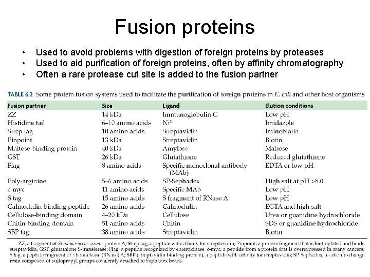 Fusion proteins • • • Used to avoid problems with digestion of foreign proteins