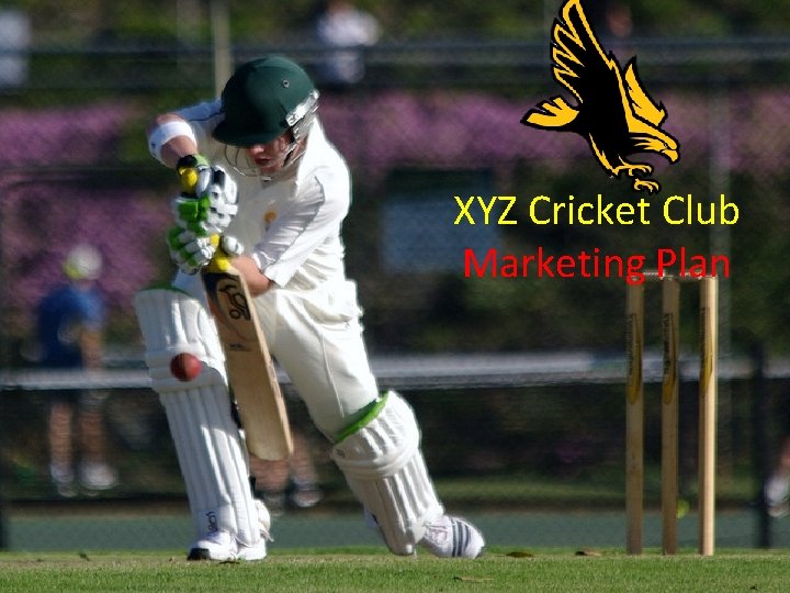 XYZ Cricket Club Marketing Plan 
