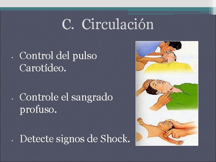 C. Circulación • • • Control del pulso Carotídeo. Controle el sangrado profuso. Detecte