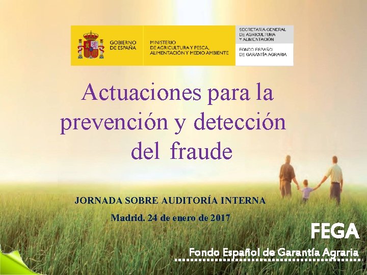 Actuaciones para la prevención y detección del fraude JORNADA SOBRE AUDITORÍA INTERNA Madrid. 24