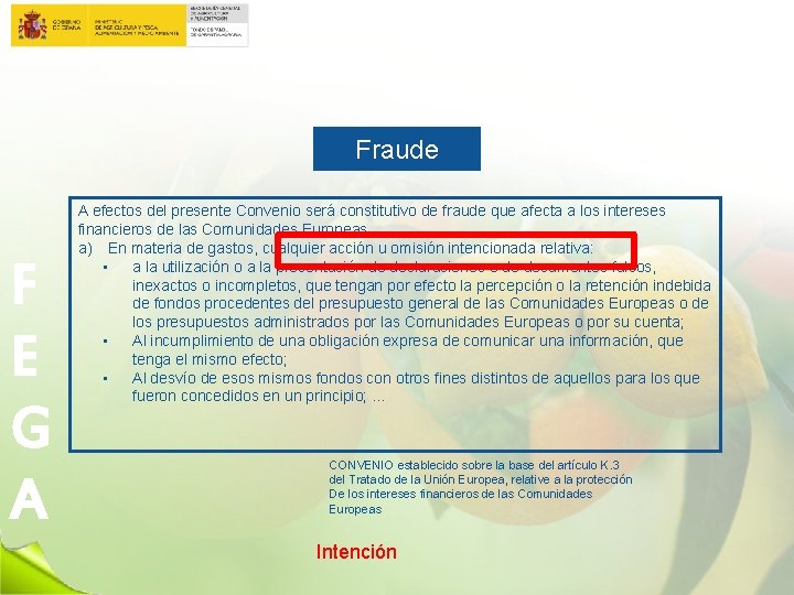 Fraude F E G A A efectos del presente Convenio será constitutivo de fraude