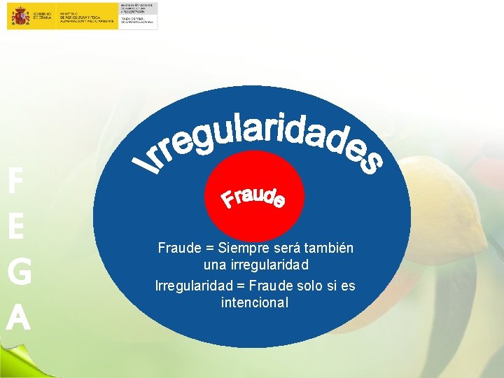 F E G A Fraude = Siempre será también una irregularidad Irregularidad = Fraude