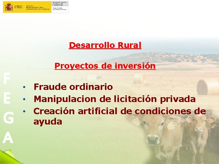 Desarrollo Rural F E G A Proyectos de inversión • Fraude ordinario • Manipulacion