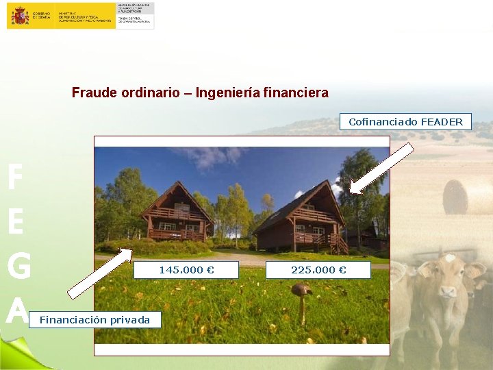 Fraude ordinario – Ingeniería financiera Cofinanciado FEADER F E G A 145. 000 €