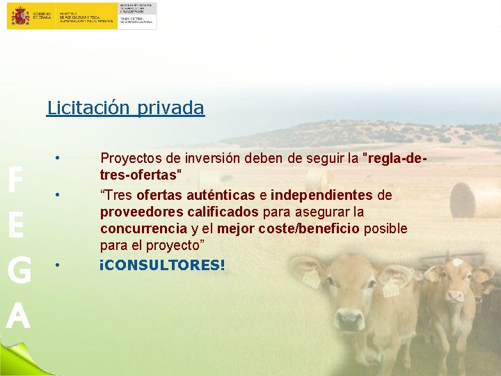 Licitación privada F E G A • • • Proyectos de inversión deben de