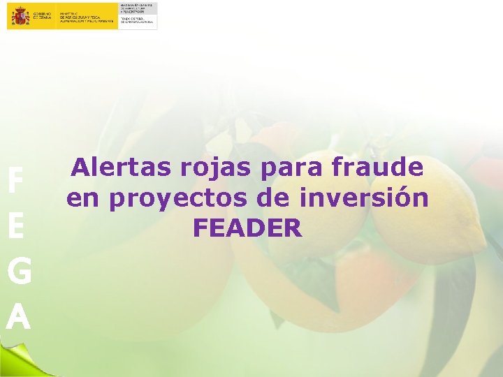 F E G A Alertas rojas para fraude en proyectos de inversión FEADER 