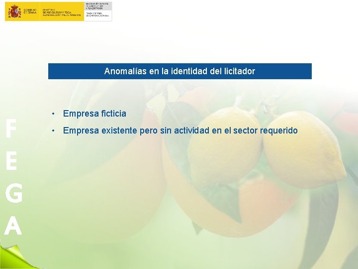 Anomalías en la identidad del licitador F E G A • Empresa ficticia •