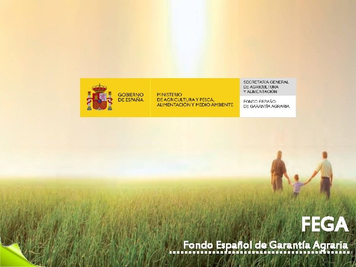 FEGA Fondo Español de Garantía Agraria 