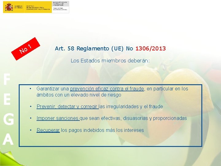 1 o N Art. 58 Reglamento (UE) No 1306/2013 Los Estados miembros deberán: F