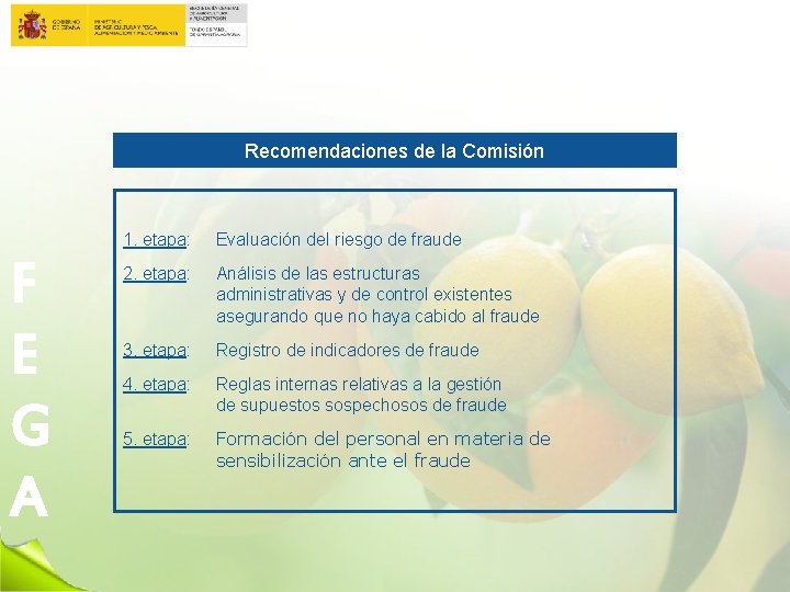 Recomendaciones de la Comisión F E G A 1. etapa: Evaluación del riesgo de