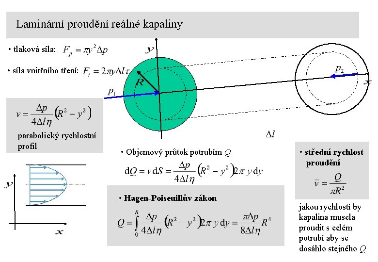 Laminární proudění reálné kapaliny • tlaková síla: • síla vnitřního tření: parabolický rychlostní profil