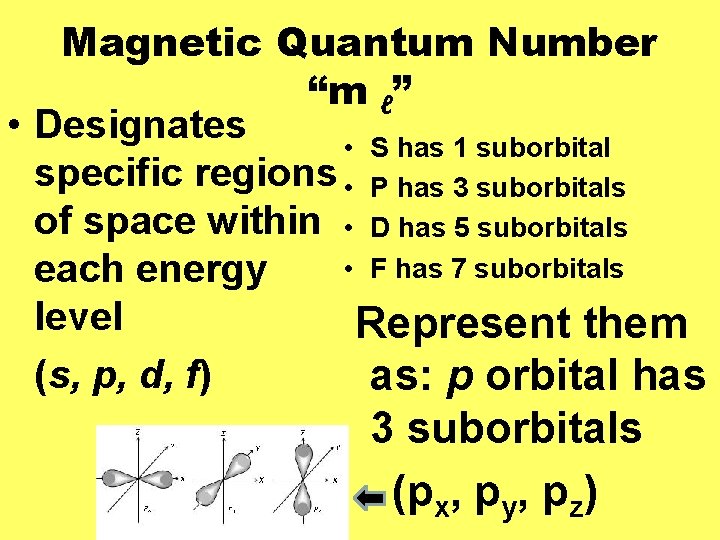 Magnetic Quantum Number “m ℓ” • Designates • S has 1 suborbital specific regions