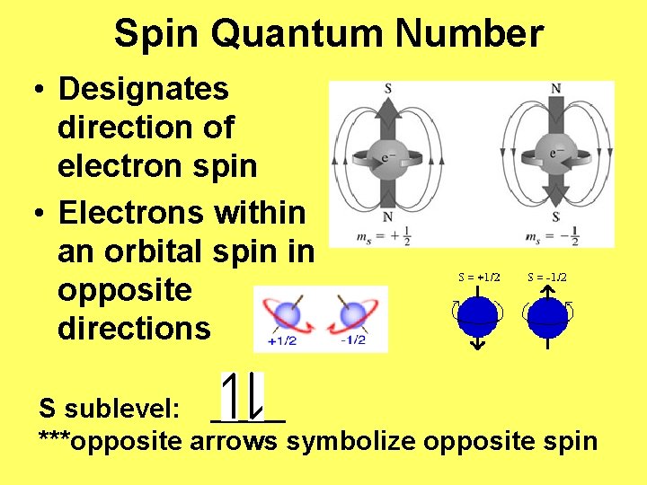 Spin Quantum Number • Designates direction of electron spin • Electrons within an orbital