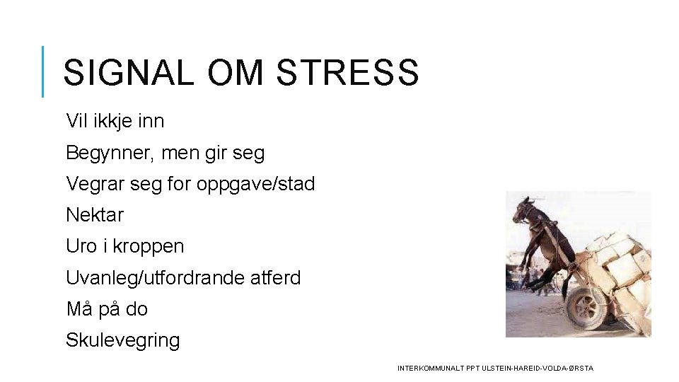 SIGNAL OM STRESS Vil ikkje inn Begynner, men gir seg Vegrar seg for oppgave/stad