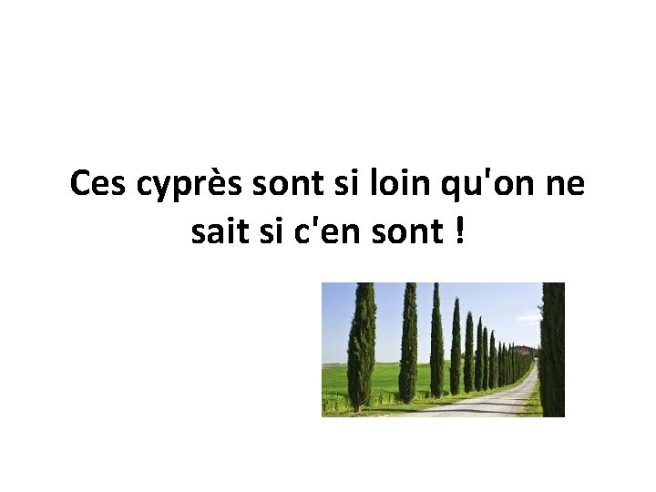 Ces cyprès sont si loin qu'on ne sait si c'en sont ! 